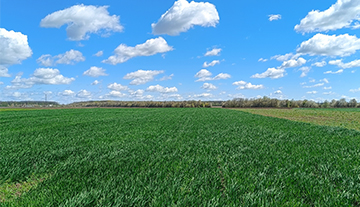 Земельна ділянка. Село Родниківка 