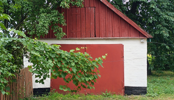 budrodn5.jpg